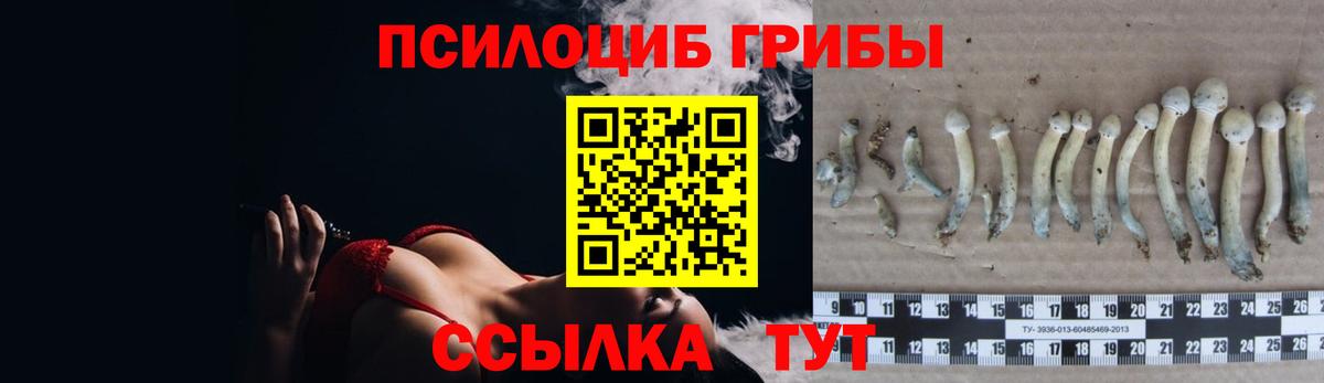 Галлюциногенные грибы Magic Shrooms  Вход с VPN  Комсомольск-на-Амуре 